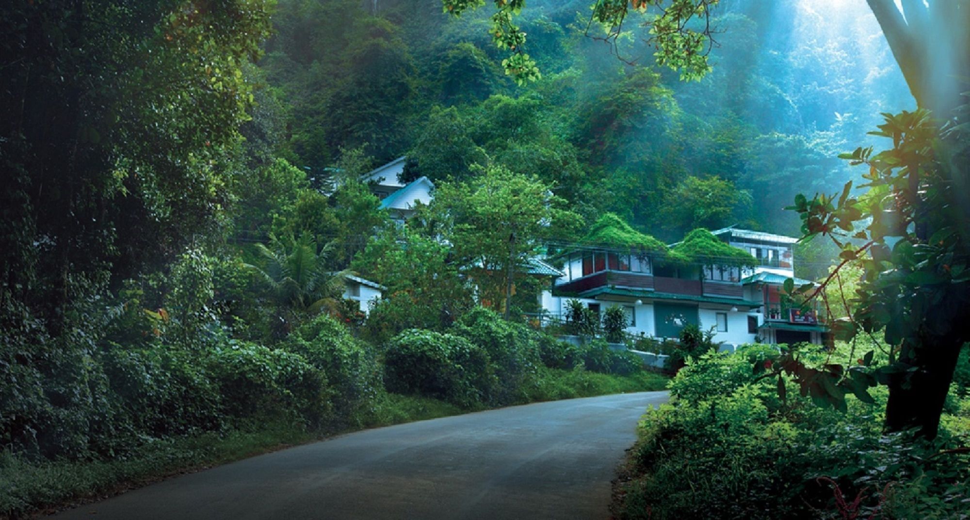 Bellavista Resort Munnar Exterior foto